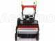 Ginko-MGM TT 680 - Trinciaerba professionale a martelli - Honda GX200