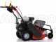Ginko-MGM TT 680 - Trinciaerba professionale a martelli - Honda GX200