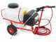 Pompa irroratrice elettrica carrellata M2015011 - A batteria 12V - 50L