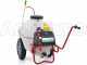 Pompa irroratrice elettrica carrellata M2001112 - Con gancio - A batteria 12V - 120L PRO