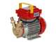 Rover 20 CE - Pompa elettrica da travaso in bronzo - Monofase - 230V