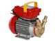 Rover 20 CE - Pompa elettrica da travaso in bronzo - Monofase - 230V