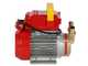 Rover 20 CE - Pompa elettrica da travaso in bronzo - Monofase - 230V