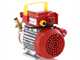 Rover 20 CE - Pompa elettrica da travaso in bronzo - Monofase - 230V