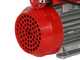 Rover 20 CE - Pompa elettrica da travaso in bronzo - Monofase - 230V