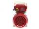 Rover 25 CE - Elettropompa da travaso in bronzo - Monofase - 230V