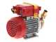 Rover 25 CE - Elettropompa da travaso in bronzo - Monofase - 230V