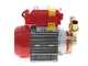 Rover 25 CE - Elettropompa da travaso in bronzo - Monofase - 230V
