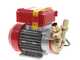 Rover 25 CE - Elettropompa da travaso in bronzo - Monofase - 230V