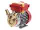 Rover 25 CE - Elettropompa da travaso in bronzo - Monofase - 230V