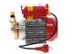 Rover 25 CE - Elettropompa da travaso in bronzo - Monofase - 230V