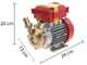 Rover 25 CE - Elettropompa da travaso in bronzo - Monofase - 230V