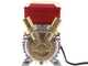 Rover 25 CE - Elettropompa da travaso in bronzo - Monofase - 230V