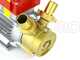 Rover 30 CE - Pompa elettrica da travaso in bronzo - Monofase - 230V