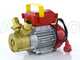 Rover 30 CE - Pompa elettrica da travaso in bronzo - Monofase - 230V