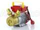Rover 30 CE - Pompa elettrica da travaso in bronzo - Monofase - 230V