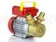 Rover 30 CE - Pompa elettrica da travaso in bronzo - Monofase - 230V