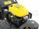 Mowox PM 4645 S Trike - Rasaerba a scoppio semovente - Ruota anteriore pivotante