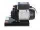 RGV Pommi - Passapomodoro con motore elettrico 450W - 220V