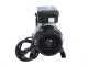 RGV Pommi - Passapomodoro con motore elettrico 450W - 220V