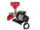 RGV Pommi - Passapomodoro con motore elettrico 450W - 220V