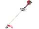 Blue Bird GX 25 I - Decespugliatore a benzina 4 tempi - Motore Honda GX 25 I
