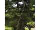 Silky Hayauchi 6300 - KSI 017939N - Seghetto professionale su asta telescopica in alluminio