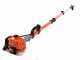 Greenline GLP 420 - Potatore a scoppio su asta telescopica - Lama da 27cm