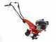 Eurosystems Z2 RM - Motozappa a benzina 4 HP - Motore Loncin 123 T