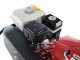 Eurosystems Z8 - Motozappa a benzina 5.5 HP - Motore Honda GX 160 OHV