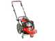 GeoTech DG 58 F - Decespugliatore a ruote a benzina 4 tempi a spinta