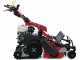 Ginko-MGM TT 786 HD - Trinciaerba professionale a martelli - Cingolato - Honda GX270
