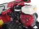 Ginko-MGM TT 786 HD - Trinciaerba professionale a martelli - Cingolato - Honda GX270