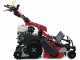 Ginko-MGM TT 786 HD - Trinciaerba professionale a martelli - Cingolato - Honda GX270