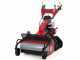 Ginko-MGM TT 786 HD - Trinciaerba professionale a martelli - Cingolato - Honda GX270