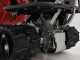 Ama TAG300TD - Motocarriola cingolata cassone dumper ribaltabile 300Kg