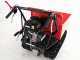 Ama TAG300TD - Motocarriola cingolata cassone dumper ribaltabile 300Kg