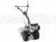 Eurosystems TM 70 RB EVO - Motocoltivatore benzina - Briggs&amp;Stratton 850E I/C
