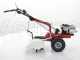 Eurosystems P70 EVO - Motocoltivatore benzina - Brigs&amp;Stratton 850iS - avviamento elettrico