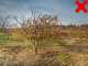 Eurosystems P70 EVO - Aspirafoglie a scoppio - B&amp;S 850E I/C