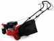 GeoTech-Pro S42-3 BMSWG - Rasaerba a scoppio semovente - Monoruota pivotante
