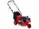 GeoTech-Pro S42-3 BMSWG - Rasaerba a scoppio semovente - Monoruota pivotante