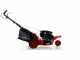 GeoTech-Pro S47-3 BMSWG - Rasaerba a scoppio semovente - Monorota pivotante