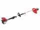 Attila GX 25 - Abbacchiatore + Decespugliatore a scoppio Attila multifunzione con motore Honda