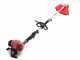 Attila GX 25 - Abbacchiatore + Decespugliatore a scoppio Attila multifunzione con motore Honda