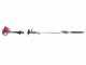 Attila GX 25 - Abbacchiatore + Decespugliatore a scoppio Attila multifunzione con motore Honda