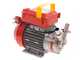 Rover Novax 20-M - Pompa elettrica da travaso in lega antiossidante - Monofase - 230V