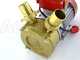 Rover BE-M 40 - Pompa elettrica da travaso in bronzo - Monofase - 230V
