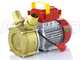 Rover BE-M 40 - Pompa elettrica da travaso in bronzo - Monofase - 230V