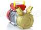 Rover BE-M 40 - Pompa elettrica da travaso in bronzo - Monofase - 230V
